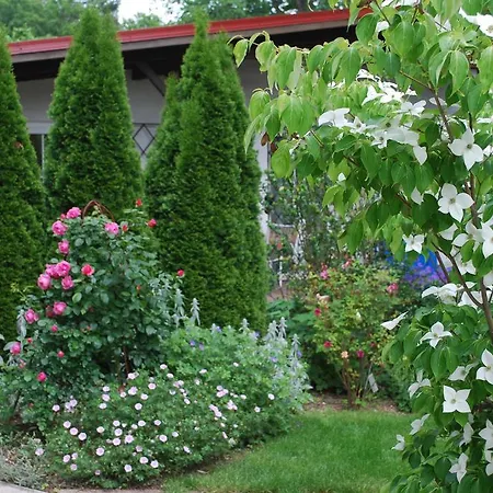 Apartmán Haus Elisabeth,