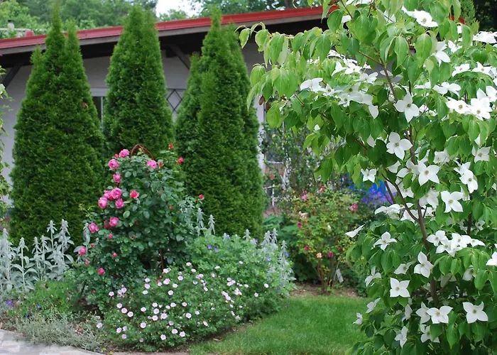 Apartment Haus Elisabeth,